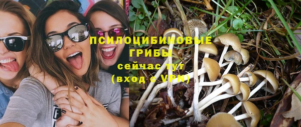 Альфа ПВП Абаза