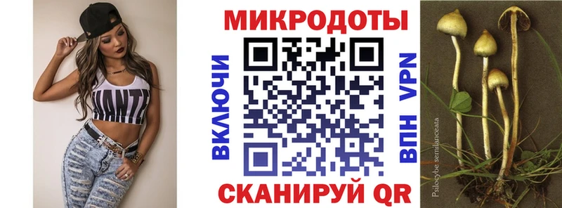 Галлюциногенные грибы мухоморы  где найти   Благодарный 