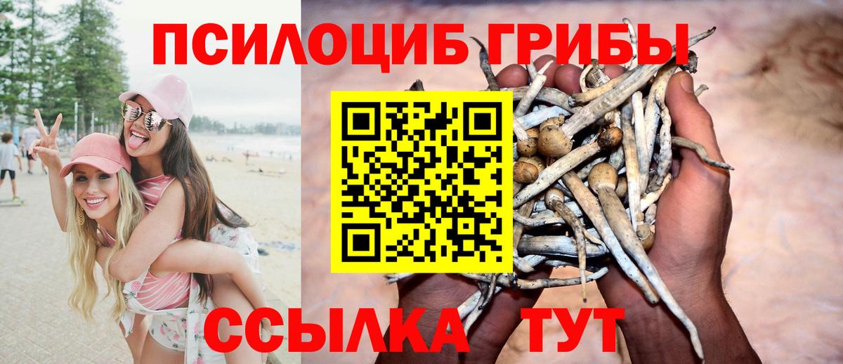 Галлюциногенные грибы прущие грибы Благодарный