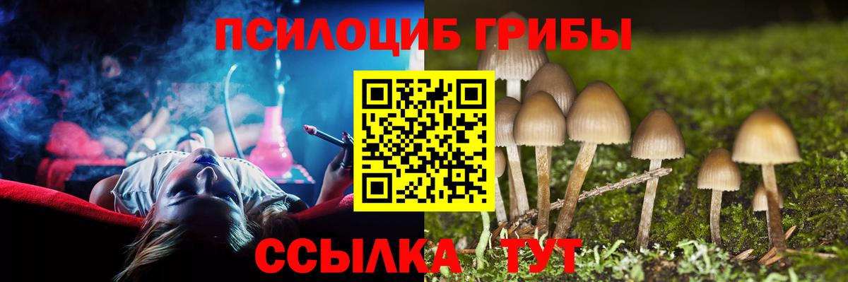 Псилоцибиновые грибы прущие грибы  Вход с VPN  Благодарный 