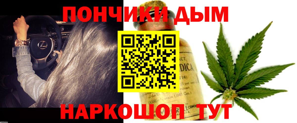 Каннабис семена  Бошки Шишки OG Kush  Благодарный  Вход с VPN  МАРИХУАНА Ganja 